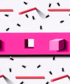Glue Fly Trap