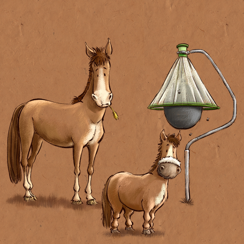 Illustration 2 Horses beside H-Trap Horsefly Trap